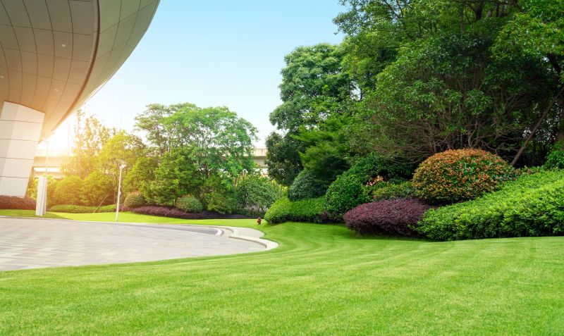 Professional Commercial Landscaping
