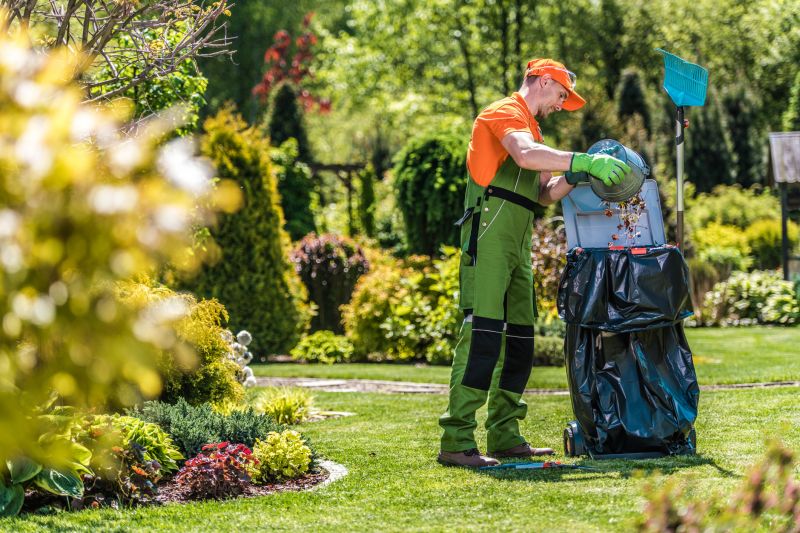 Professional Lawn Maintenance Image