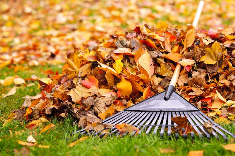 Fall Leaf Removal Image 1