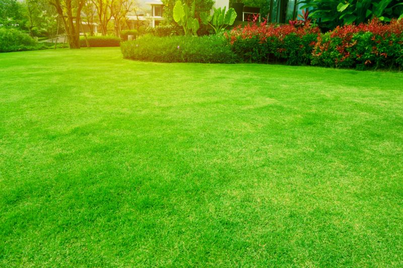 Seasonal Landscaping Services