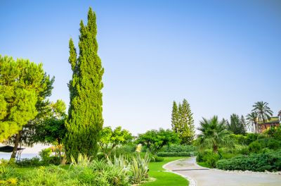Get Shrub Planting, Trimming, and Care for Your Commercial Property!